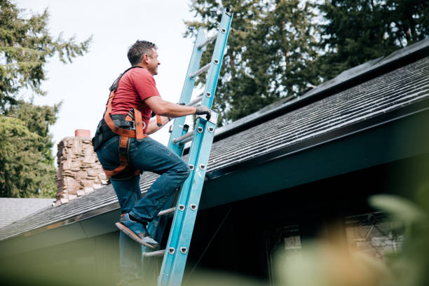 Best Rubber Roofing (EPDM, TPO)  in Spring Park, MN